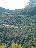 grece centrale-6.JPG grece centrale-6.JPG