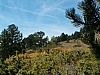 grece centrale-61.JPG grece centrale-61.JPG