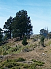 grece centrale-63.JPG grece centrale-63.JPG