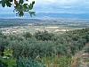 grece centrale-75.JPG