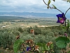 grece centrale-79.JPG grece centrale-79.JPG