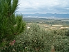 grece centrale-82.JPG grece centrale-82.JPG