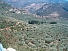 grece centrale-99.JPG grece centrale-99.JPG