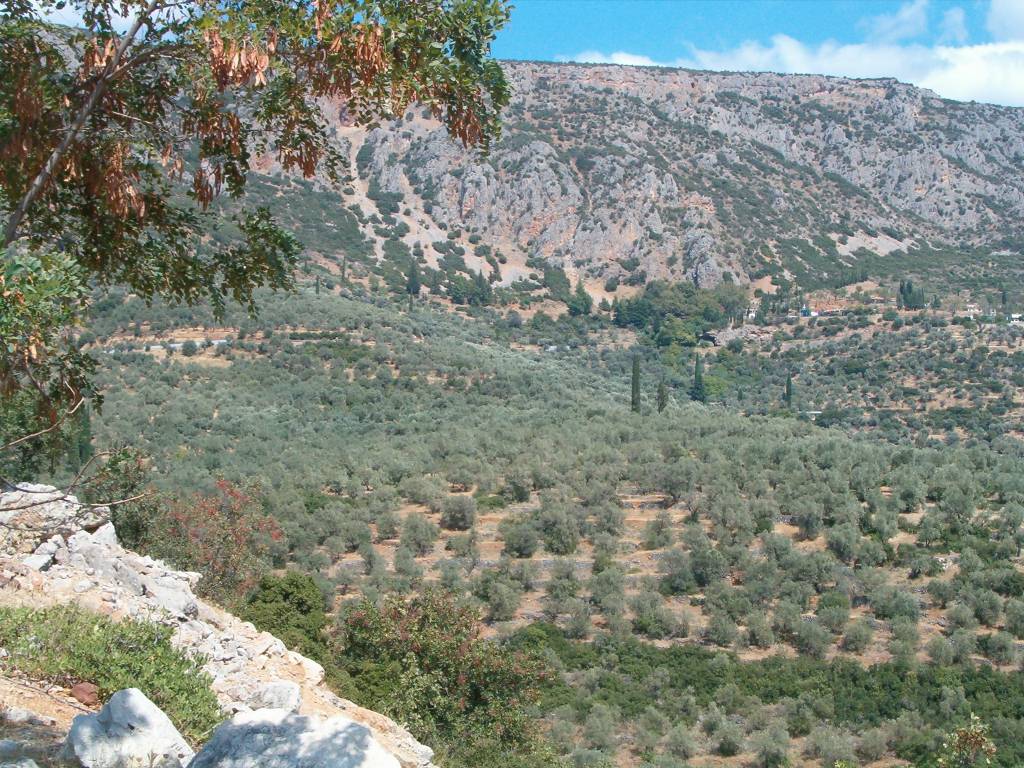 grece centrale-104.JPG