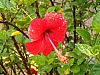 jardingrec-1.JPG jardingrec-1.JPG