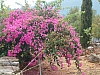 jardingrec-11.JPG jardingrec-11.JPG