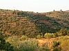jardingrec-13.JPG jardingrec-13.JPG