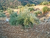 jardingrec-15.JPG jardingrec-15.JPG