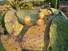 jardingrec-16.JPG jardingrec-16.JPG