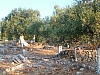 jardingrec-21.JPG jardingrec-21.JPG