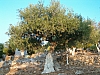 jardingrec-23.JPG jardingrec-23.JPG