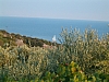 jardingrec-29.JPG jardingrec-29.JPG
