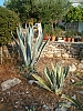 jardingrec-31.JPG jardingrec-31.JPG