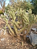jardingrec-32.JPG jardingrec-32.JPG