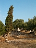 jardingrec-33.JPG jardingrec-33.JPG