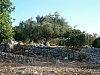jardingrec-34.JPG jardingrec-34.JPG