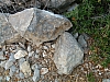 jardingrec-37.JPG jardingrec-37.JPG