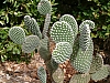 jardingrec-41.JPG jardingrec-41.JPG