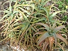 jardingrec-44.JPG jardingrec-44.JPG