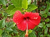 jardingrec-8.JPG jardingrec-8.JPG
