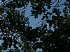 meteores-75.JPG meteores-75.JPG