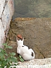 Peloponnese-37.JPG Peloponnese-37.JPG