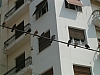Thessalonique-32.JPG Thessalonique-32.JPG