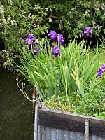 100_6945.jpg