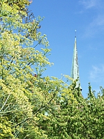 100_5496.jpg