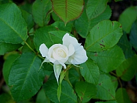 100_5628.jpg