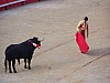 feria2007 (21).JPG