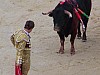 feria2007 (33).JPG