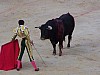 feria2007 (42).JPG