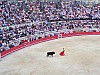 feria2007 (46).JPG