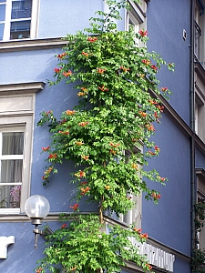 100_8425.jpg