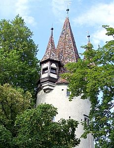 100_8427.jpg