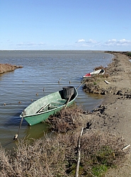 DSCF0691.jpg