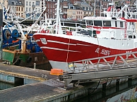 letreport_119.jpg