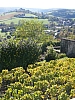 vezelay_18.jpg