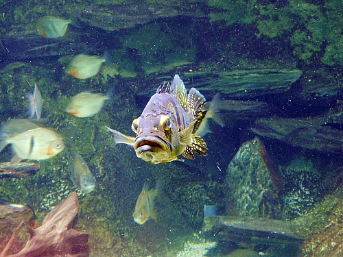 Thumbnail of 119.JPG