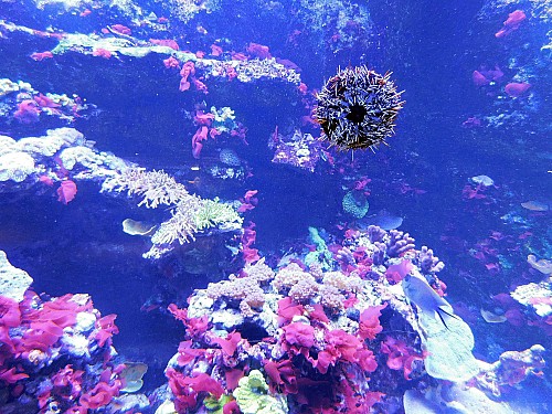 Thumbnail of 120.JPG