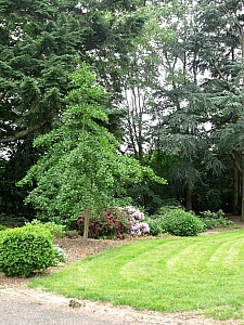 Thumbnail of puisieux_35.jpg