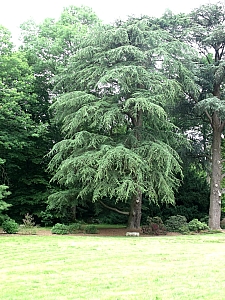 Thumbnail of puisieux_38.jpg