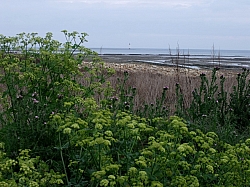 DSCF1224.jpg