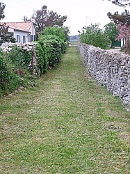 DSCF1260.jpg
