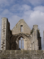 DSCF1321.jpg