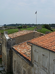 DSCF1387.jpg