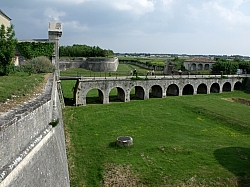 DSCF1414.jpg