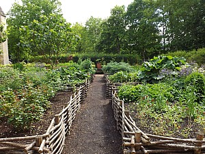 DSCF6874.jpg