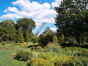 Thumbnail of montreal6septembre15h47.JPG